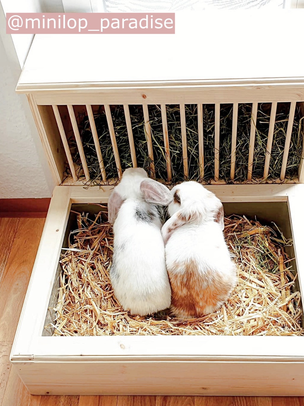 kaninchen-heuraufe-mit-toilette-im-innengehege